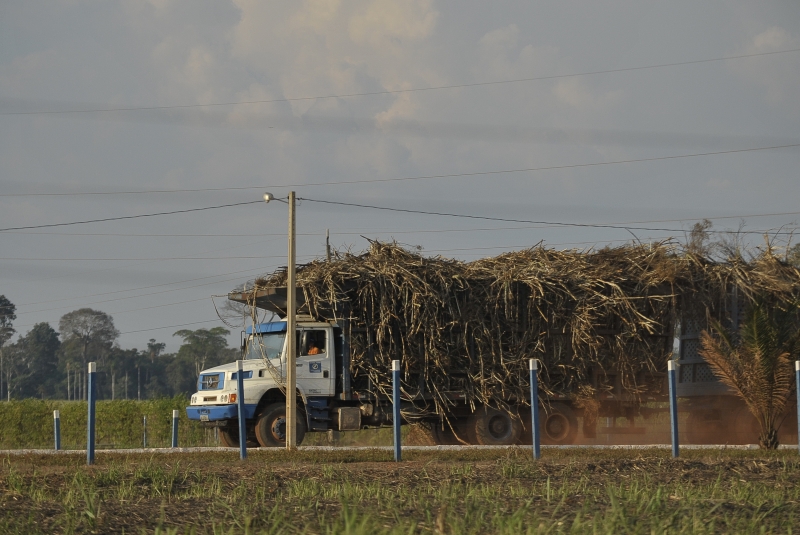 Moagem de cana de açúcar aumenta em Agência Brasil