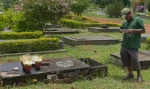 Cemiterio DF Finados 192