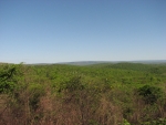 paisagem caatinga2 203