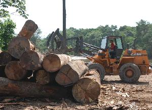 1829WD640