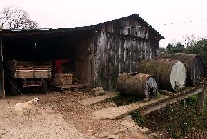 1235VC3186