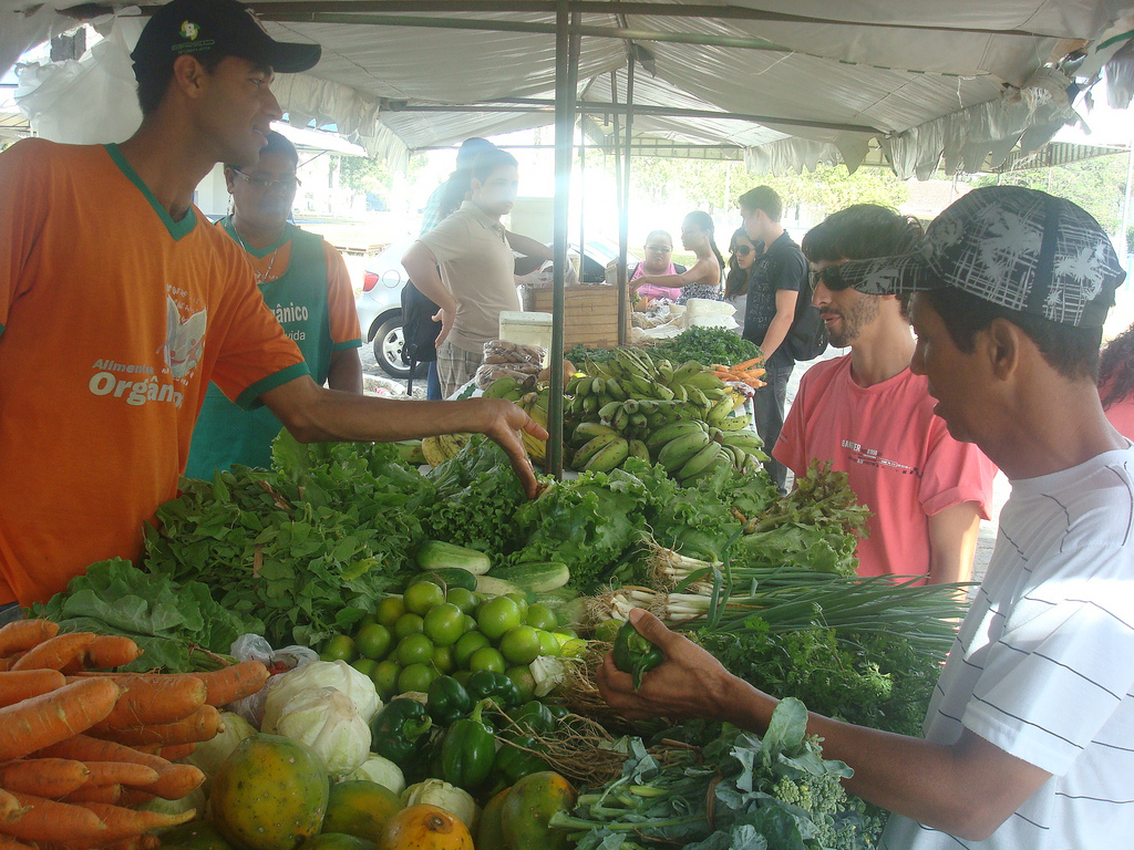 Ebc Onu Destaca Compras Públicas De Alimentos Produzidos Pela Agricultura Familiar No Brasil 1707