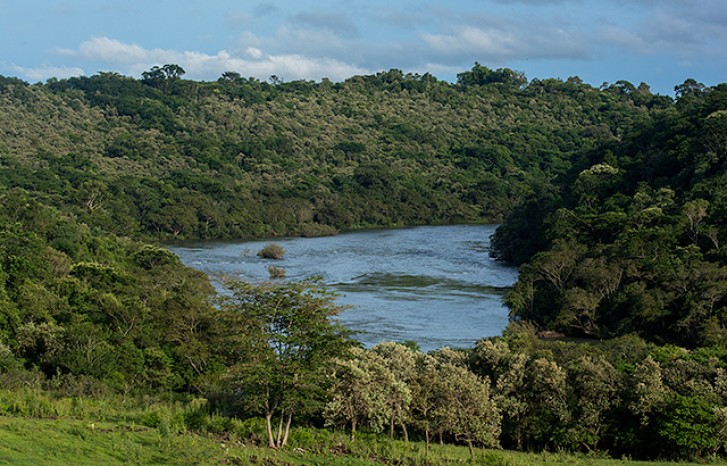 Rio Paranapanema