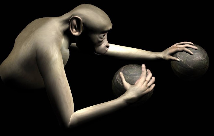 Pesquisa de Nicolelis faz com que macaco movimente braço virtual com força do cérebro