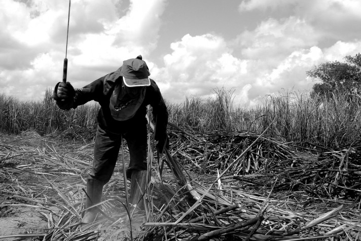 Trabalhador rural na lavoura de cana-de-açúcar