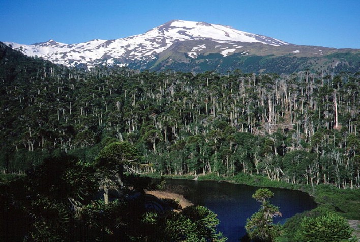 O vulcão Copahue fica na fronteira do Chile com a província argentina de Neuquén, a 370 quilômetros de Bariloche (conhecido destino turístico e estação de esqui)