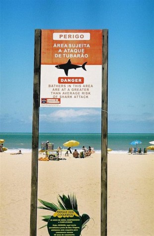 O governo de Pernambuco deve interditar áreas de praia com risco de ataque de tubarões