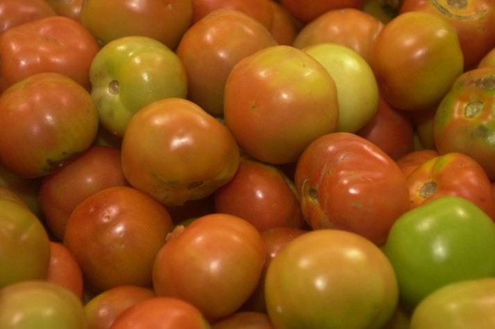 Cesto de tomates
