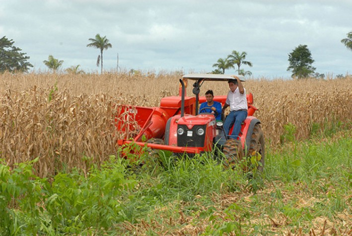 Agricultores do Sul afetados pela seca poderão renegociar financiamentos 