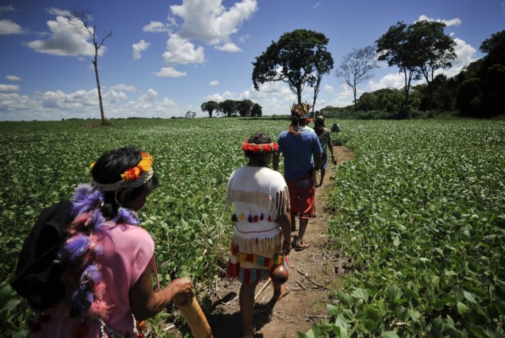 Índios guarani-kaiowá da aldeia Laranjeira Ñanderu