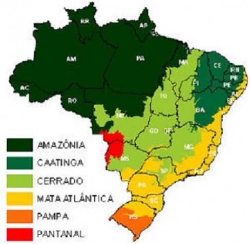 Biomas do Brasil