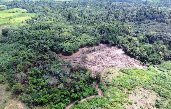 Área desmatada encontrada por agentes do Ibama na região de Nova Ipixuna (PA)