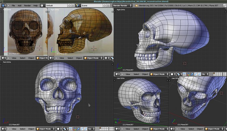 Reconstrução da face de um hominídeo - com blender
