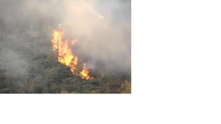 Incêndio na Serra da Canastra