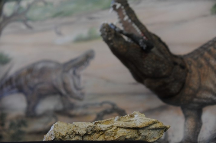 Paleontólogos descobrem fóssil do mais antigo réptil