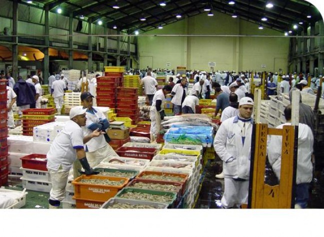 CEAGESP em São Paulo é ponto de referência na venda de pescados