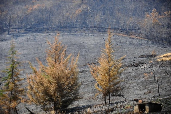 Incêndios florestais em Petrópolis, na Região Serrana, destroem 2,6 mil hectares em dez dias