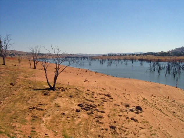 Paisagem do semiárido