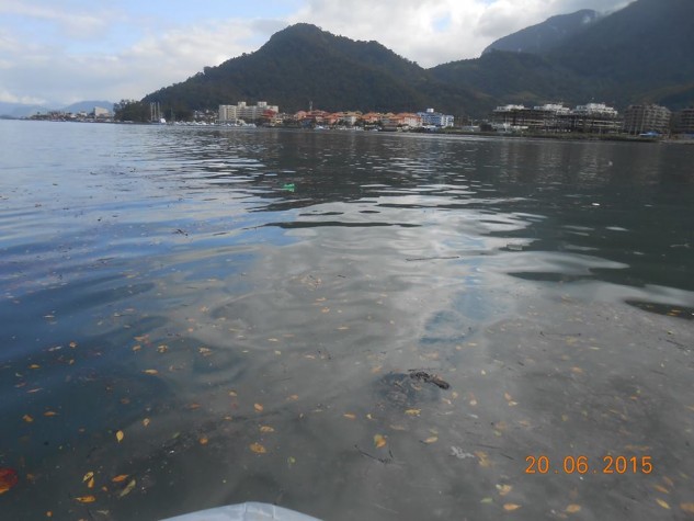 Profissionais do Instituto Boto Cinza monitoram dimensão do vazamento na Baía de Sepetiba