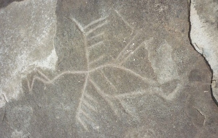 Gravuras rupestres somem de sítios arqueológicos da Amazônia